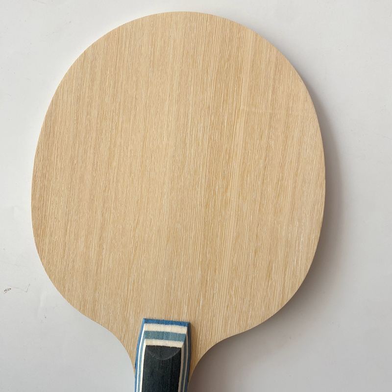 Lemuria VIS Carbon Fiber Table - đánh giá và giá Table Tennis Zlc