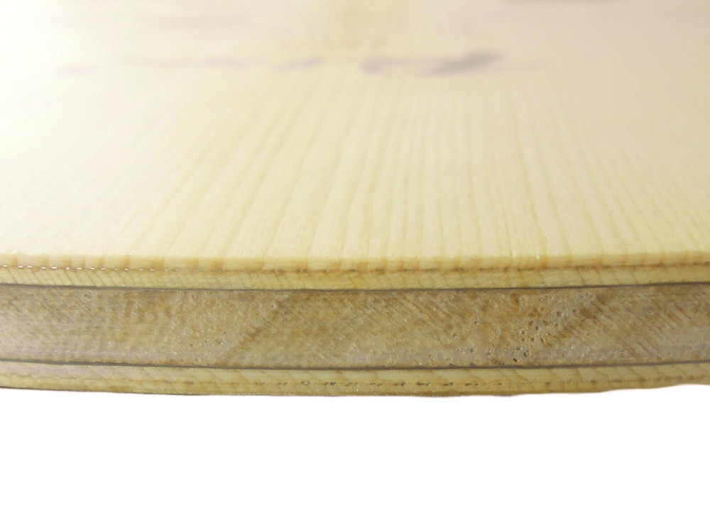 PALIO 8603 Carbon Titanium Tab - đánh giá và giá Table Tennis Padel